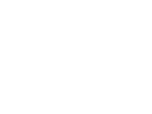 New Prosperity Logostacked white icon above yes LLC w Registration@2x